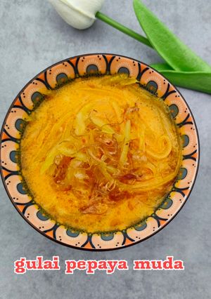 Foto resep Gulai pepaya muda