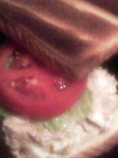 A picture of tuna salad sandwich®.
