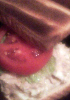 A picture of tuna salad sandwich®.
