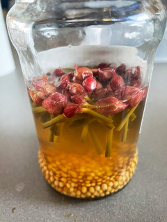 A picture of Pickled chive buds.
