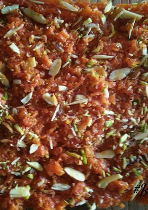 A picture of Carrot-Nut Halwa.