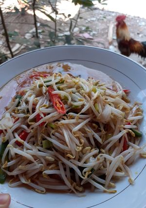 Foto resep Oseng oseng tauge