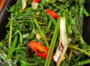 Foto resep Tumis Daun Pakis