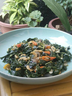 Foto resep Tumis daun pepaya ebi + tips merebus
