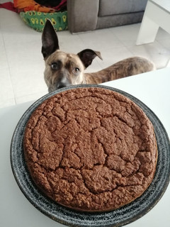 Foto principal de Carrot Cake Vegano sin gluten / sin histamina / sin lactosa