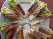 Una foto de cogollos con anchoa