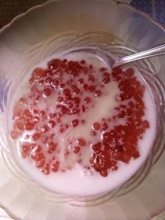 Foto resep Bubur mutiara kuah santan