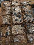 Brownies de milo