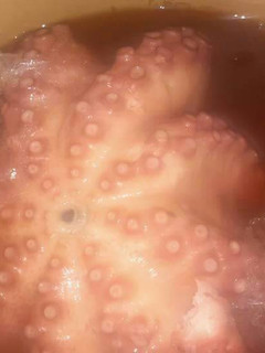 Una foto de Cocer un pulpo