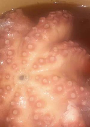 Foto principal de Cocer un pulpo