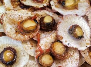 Foto resep Srimping goreng mentega
