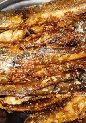 Foto resep Lele untuk lalapan Special