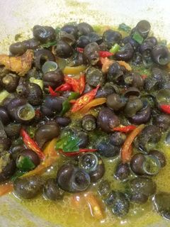Foto resep Tutut Kuah Kuning endess
