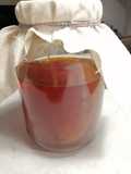 Home Brewn Kombucha