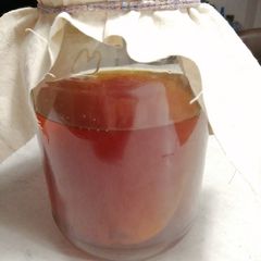 A picture of Home Brewn Kombucha.