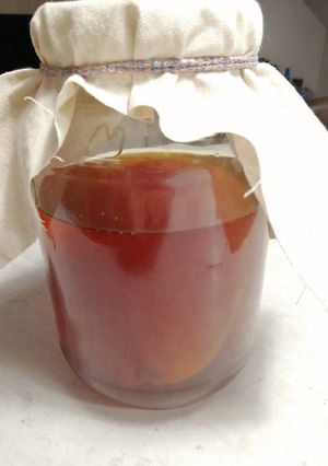 A picture of Home Brewn Kombucha.