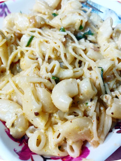 A picture of White Sauce Pasta.