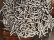 Kép erről: dió margarin
