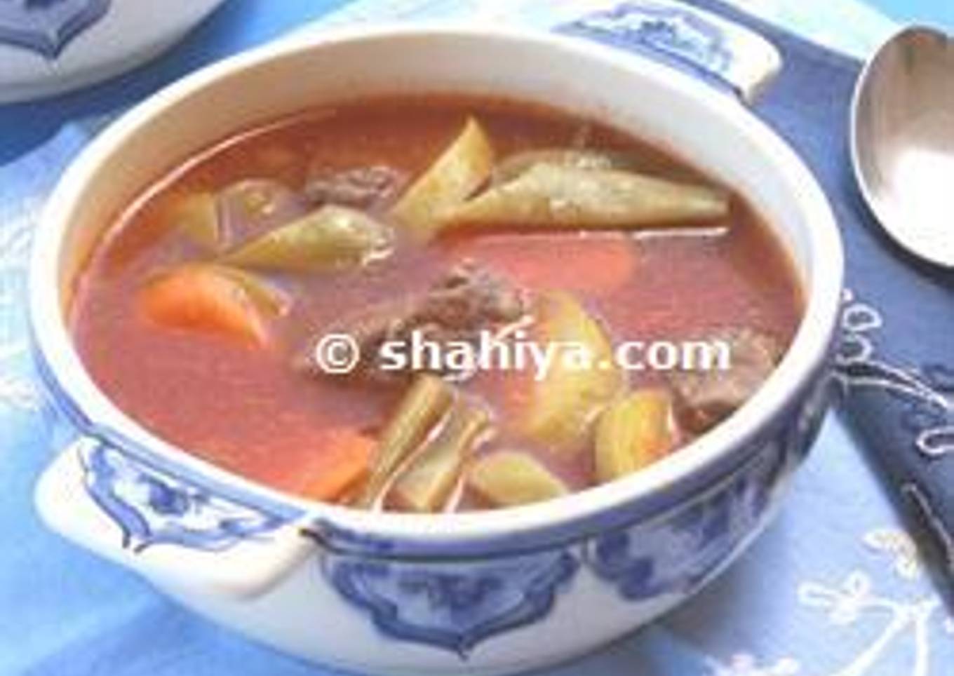 Lebanese Vegetables and Meat Soup