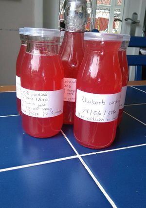 A picture of Rhubarb cordial.