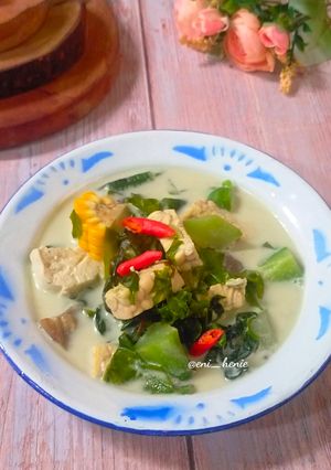 Foto resep 1066. Sayur Lodeh Bumbu Instan
