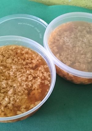 Foto resep 04. Puding Lumut Gula Jawa