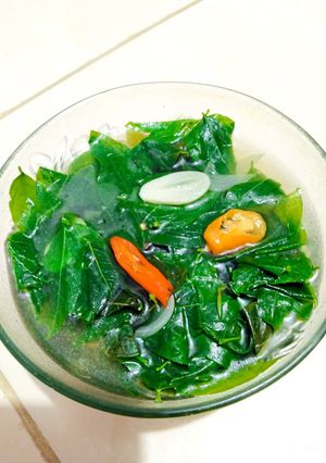 Foto resep Tumis Sayur Katuk