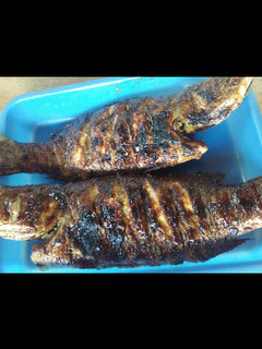Foto resep Ikan Kakap Bakar Kecap Madu