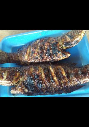 Foto resep Ikan Kakap Bakar Kecap Madu