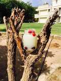 Litchi and cherry Mocktail(lychee)