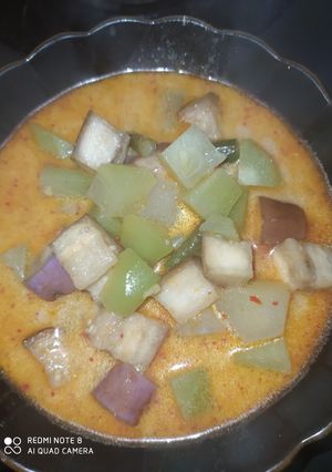 Foto resep Sayur lodeh terong