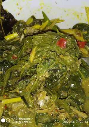 Foto resep Buntil daun singkong