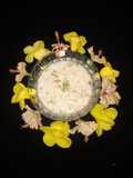 Paneer Kheer