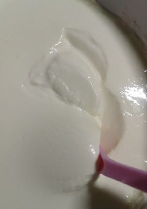 Homemade yoghurt ainihin hoton girkin