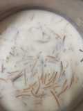 Meethi Seviyan (Sweet Vermicelli)