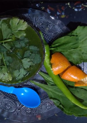 ગ્રીન ટોમેટો સૂપ (Green Tomato Soup Recipe In Gujarati) રેસીપી મુખ્ય ફોટો
