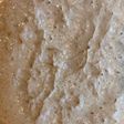 Homemade Sourdough Starter