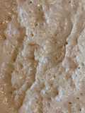 Homemade Sourdough Starter