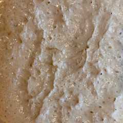 Homemade Sourdough Starter-レシピのメイン写真