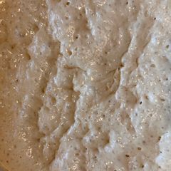 A picture of Homemade Sourdough Starter.