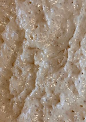 A picture of Homemade Sourdough Starter.