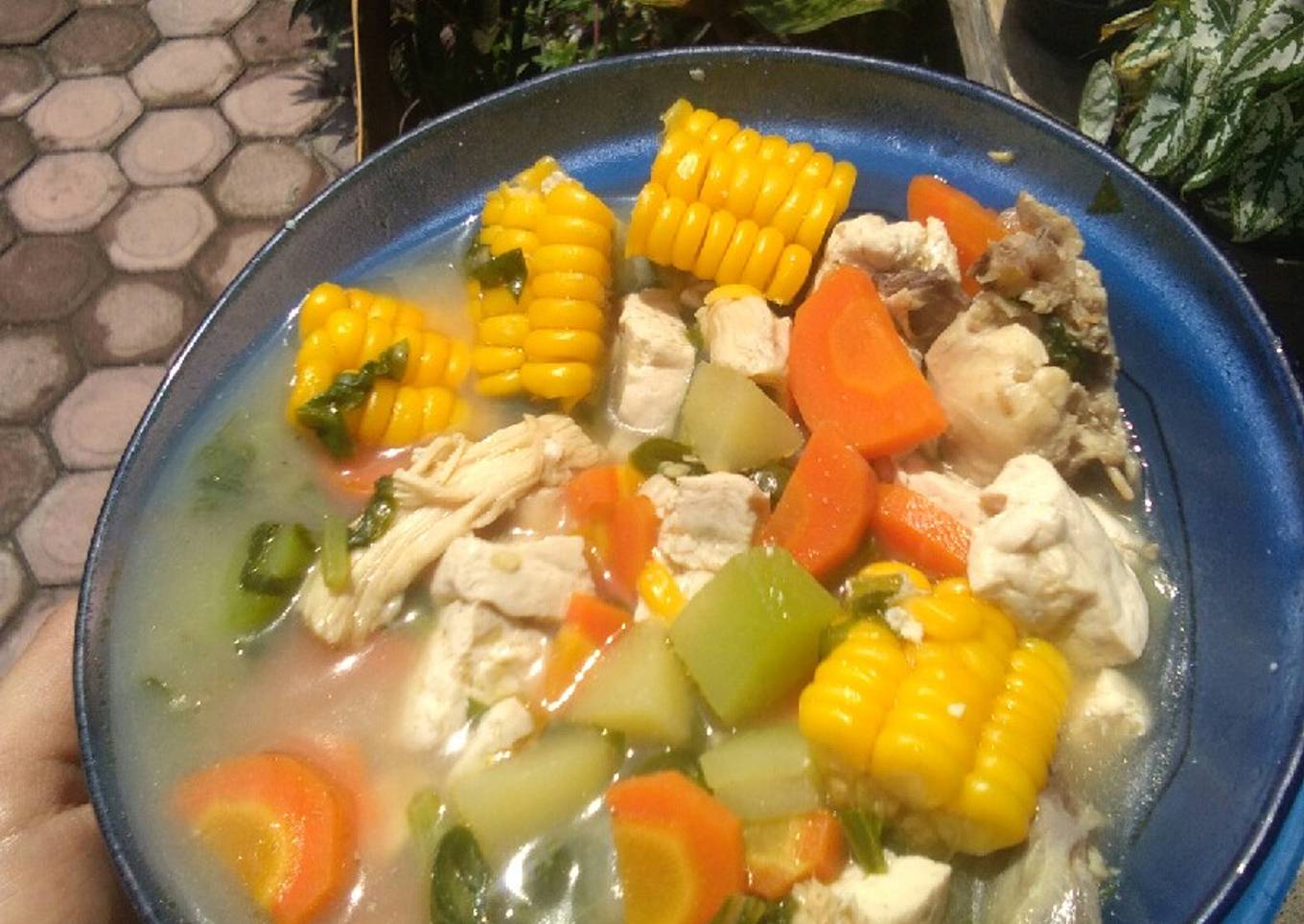 Soup ayam dan aneka sayuran
