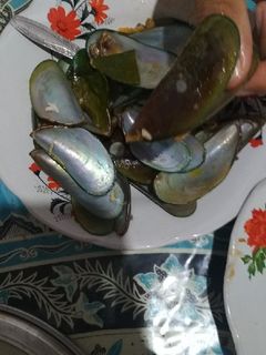 Foto resep Kerang hijau saus tomat