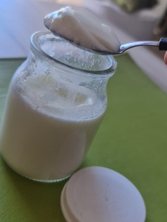 Una foto de Yogurt Casero (solo con 2 ingredientes y sin máquina!!)