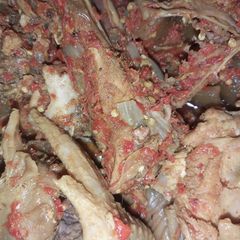 A picture of Pepper chicken without frying.