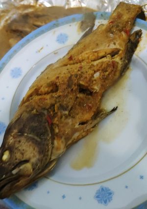 عکسی از دستور ماهی هامور معمولی فویلی