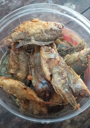 Foto resep Wader Goreng