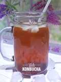 TEH KOMBUCHA segar menyehatkan