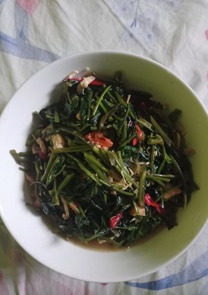 Foto resep Tumis kangkung suir ayam ala-ala