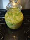 Homemade Sauerkraut in Fermentation Jar